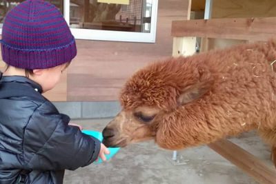 周辺観光 茨城県坂東市のホテルグリーンコア坂東 公式
