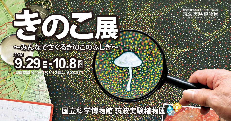 秋の風物詩きのこをテーマにした「きのこ展♪」