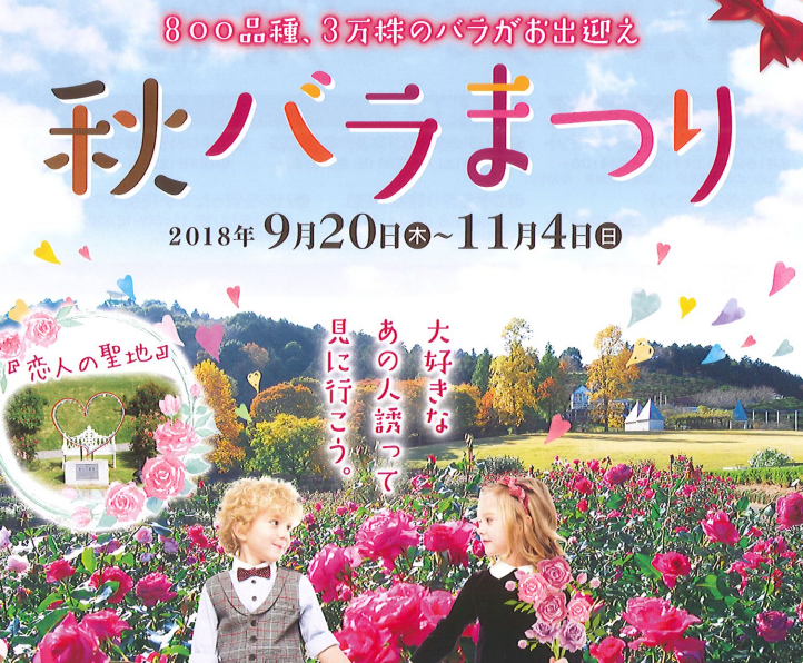 ホテル 茨城県フラワーパーク 秋バラ祭り 車で1時間圏内 茨城県坂東市のホテルグリーンコア坂東 公式 ホテル 茨城県フラワーパーク 秋バラ祭り 車で1時間圏内 茨城県坂東市のホテルグリーンコア坂東 公式