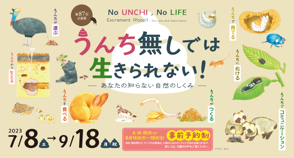 茨城県自然博物がなんだか楽しそう♪